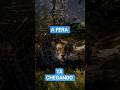 esse mapa vai ser interessante #caça #gameplay #cotw #onça #felinos #feras