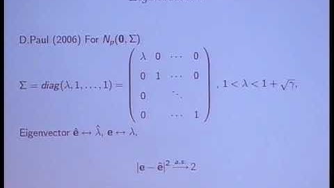 Prof. Peter Bickel | Regularised estimation of high dimensional covariance matrices