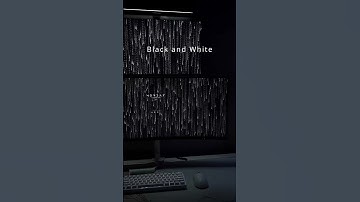 Best Wallpapers on Wallpaper Engine, Black and White edition