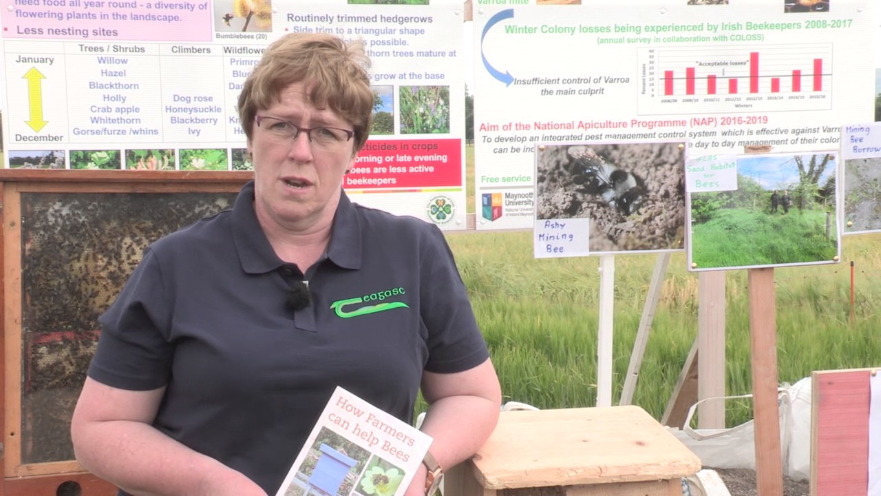 Crops and Cultivation 2017 - Catherine Keena