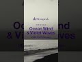 2022.11.25リリースDigital Single&quot;Ocean Wind &amp; Violet Waves&quot; #Newspeak #Christmas #OceanWind #VioletWaves