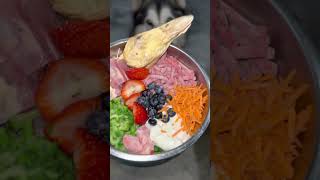 Raw Feeding for Alaskan Malamute dog #shorts