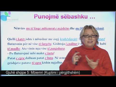 Gjuhë shqipe 5 - Mbiemri (Kuptimi i përgjithshëm)