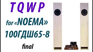 картинка: Не для всех! TQWP для НОЭМА 100ГДШ65-8 Финал.