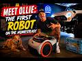 Meet Ollie - My first Robot