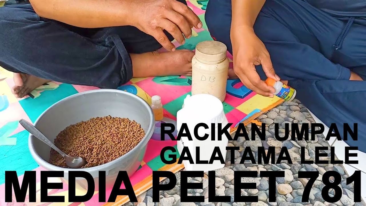 Racikan Umpan GALATAMA LELE Media PELET 781
