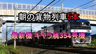 JR貨物 2023/08/08 朝の定番貨物列車5本 EF210-354号機とEF210-127号機 東海道本線