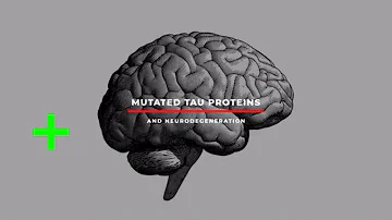 What happens when tau proteins are damaged