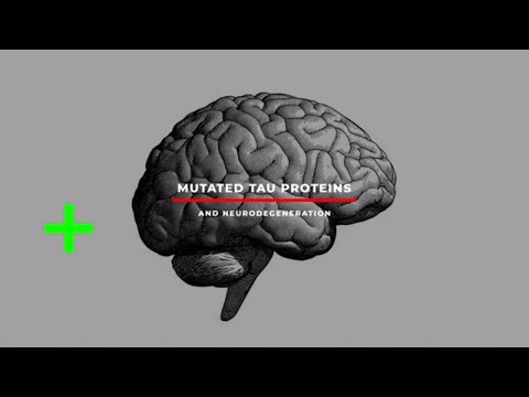 Video: Atypiske, Ikke-standardfunktioner Af Det Mikrotubule-associerede Tau-protein