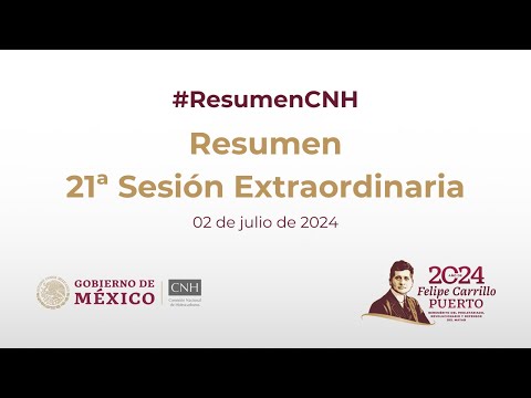 Resumen 21ª Sesión