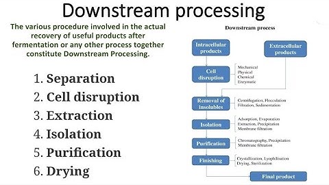 Downstream processing 🤩