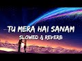 Tu Mera Hai Sanam - Altaf Sayyed {Slowed & Reverb}