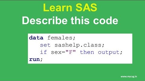 Describe this sas code 1004 - subset data using output statement in SAS