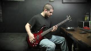 Stone Sour - A Rumor Of Skin Bass Cover