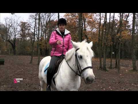 Avoir un cheval calme, connecté et aux ordres