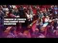 French mp suspended for waving palestinian flag in parliament
