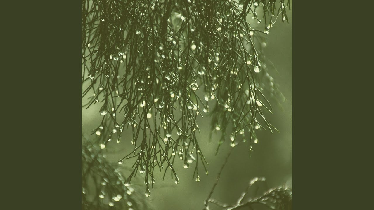 Настроения (Работающий)