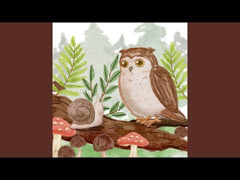 Ver Feathers no YouTube