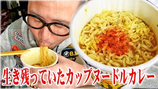 【根絶加担昼飯】オッサンはカップヌードルカレーBIGの生き残りを無慈悲に食いながらウダウダ言うのです【飯テロ】【飯動画【ラーメン】】