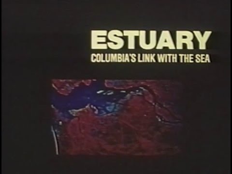 ESTUARY: Columbia&rsquo;s Link with the Sea