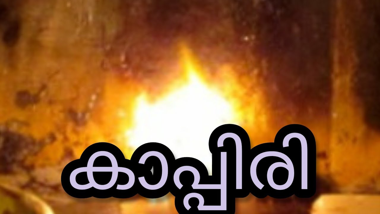 ആരാണ് കാപ്പിരി/Pathala Kappiri/Astrolloger Paravoor Sudheeh/6238 999 670