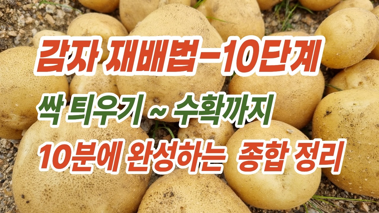 [텃밭] 감자 재배법 - 싹틔우기부터 수확까지 10단계로 나누어 설명합니다 - YouTube