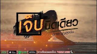 เจ็บนิดเดียว - นิตยา บุญสูงเนิน [Lyrics Version Official]