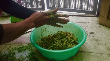 Chia sẻ phối mồi Lancer và Lục câu Trắm cỏ và Chép