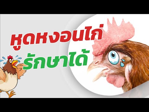 วีดีโอ: วิธีการรักษา Dysplasia ของปากมดลูก: การเยียวยาธรรมชาติสามารถช่วยได้หรือไม่?