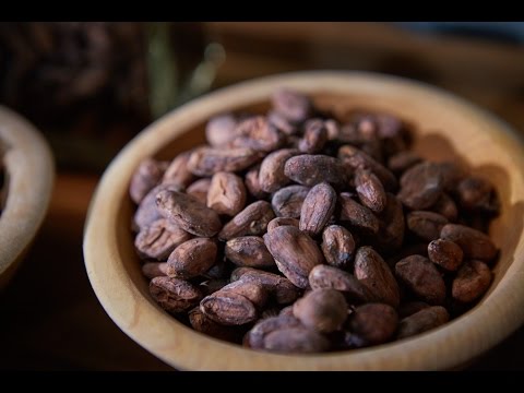 Fermentation Road | Firefly Chocolate | Season 2 Episode 2 | Spoiled To Perfection
