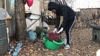 видео: Начинаю готовить дачный участок к зиме картинка: Начинаю готовить дачный участок к зиме