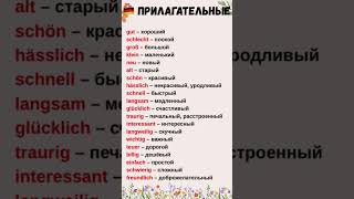 видео: Урок 5 ‼️🇩🇪ВАЖНЫЕ прилагательные + грамматика | А1 #немецкий #adjektive #урокинемецкого #школаонлайн картинка: Урок 5 ‼️🇩🇪ВАЖНЫЕ прилагательные + грамматика | А1 #немецкий #adjektive #урокинемецкого #школаонлайн