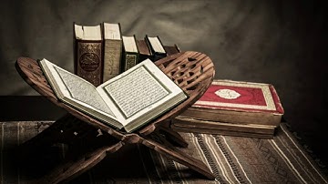 سورة الأحقاف بصوت القارئ - هاني الرفاعي