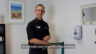 Shoulder pain exercise Physio tip