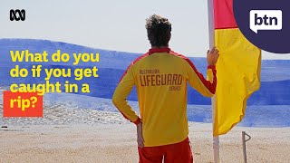 How To Stay Safe at the Beach - Behind the News