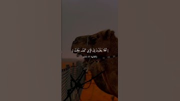 #استغفر_الله #ربي_اسعدقلبي_ #قرآن #سورة_الغاشية اكتب شي تؤجر عليه 😴💖