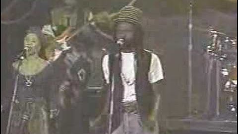 Wailing Souls - Shark Attack Live on stage