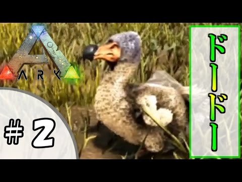Ps4 のんびりアーク恐竜島生活 ２ ドードーテイム Ark Survival Evolved Youtube