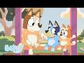 赤ちゃんレース 🍼💙 | ブルーイ - 日本公式チャンネル - Bluey