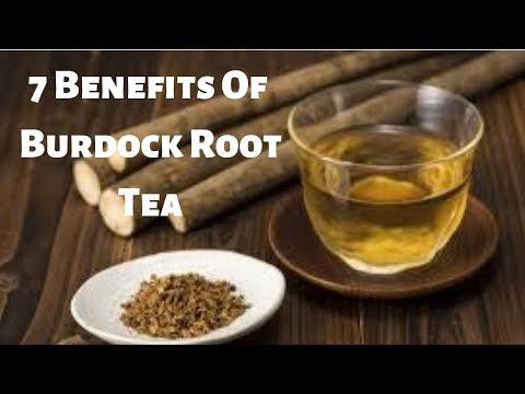 7 Benefits Of Burdock Root Tea