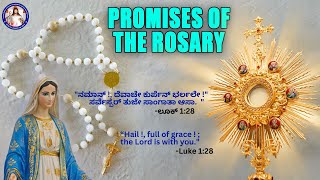 PROMISES OF THE ROSARY | LIVE | 20th May 2024
