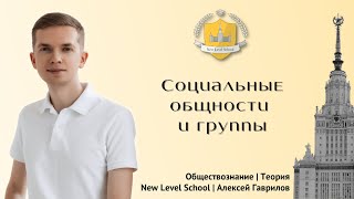 Социальные общности и группы | Онлайн-школа New Level School