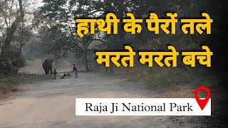 Wild Elephant Attack in Raja Ji National Park  ( Chila Rang, Rishikesh ) | Vindhyavasini temple