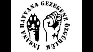 Anarşizm ve Hayvan Özgürlüğü Mücadelesinin İlişkisi ve DAF' a dair Eleştiriler - Fatma Biltekin