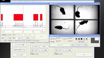 擦過行動の自動検出 Automatic detection of scratching behavior