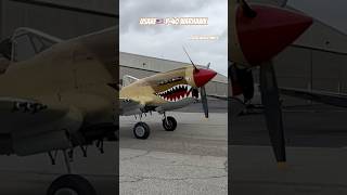 USAAF P-40 Warhawk
