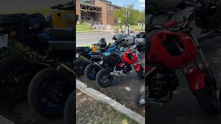 Grom Squad In Flagstaff