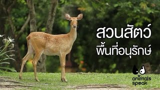 Animals Speak [by Mahidol] สวนสัตว์...พื้นที่อนุรักษ์