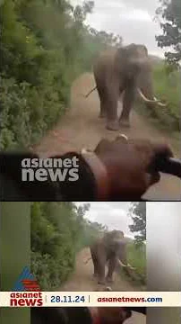 സ്കൂൾ ബസിന് നേരെ പാഞ്ഞടുത്ത് പടയപ്പ ; ഞെട്ടിക്കുന്ന ദൃശ്യങ്ങൾ
