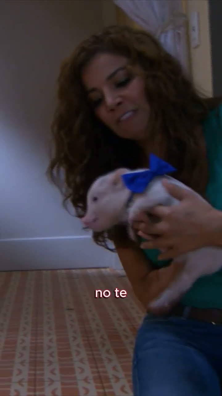 Pobre Benito ?? #hastaelfindelmundo #tlnovelas